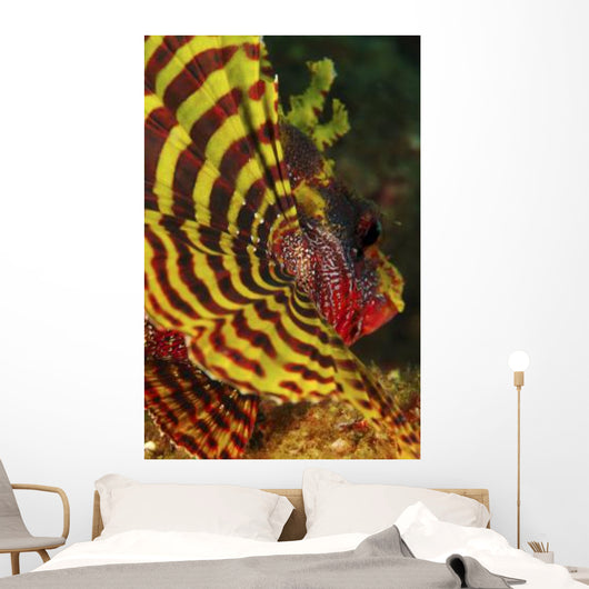 Bright Yellow and Red Wall Decal