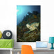 Green Sea Turtle Resting Wall Decal
