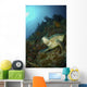 Green Sea Turtle Resting Wall Decal