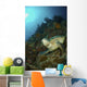 Green Sea Turtle Resting Wall Decal