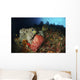 Colorful Sea Wall with Wall Decal