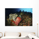 Colorful Sea Wall with Wall Decal