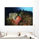 Colorful Sea Wall with Wall Decal