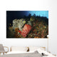 Colorful Sea Wall with Wall Decal