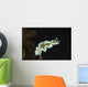 Glossodoris Atromarginata Nudibranch Bali Wall Decal Design 2