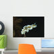 Glossodoris Atromarginata Nudibranch Bali Wall Decal Design 2