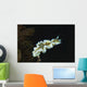 Glossodoris Atromarginata Nudibranch Bali Wall Decal Design 2