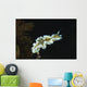 Glossodoris Atromarginata Nudibranch Bali Wall Decal Design 2