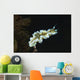Glossodoris Atromarginata Nudibranch Bali Wall Decal Design 2