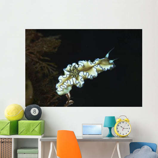 Glossodoris Atromarginata Nudibranch Bali Wall Decal Design 2