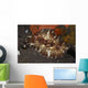 Brown and White Discodoris Wall Decal Design 2