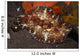 Brown and White Discodoris Wall Decal Design 2