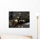 Thor Amboinensis Shrimp Brown Wall Decal