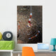 Red and White Banded Wall Decal