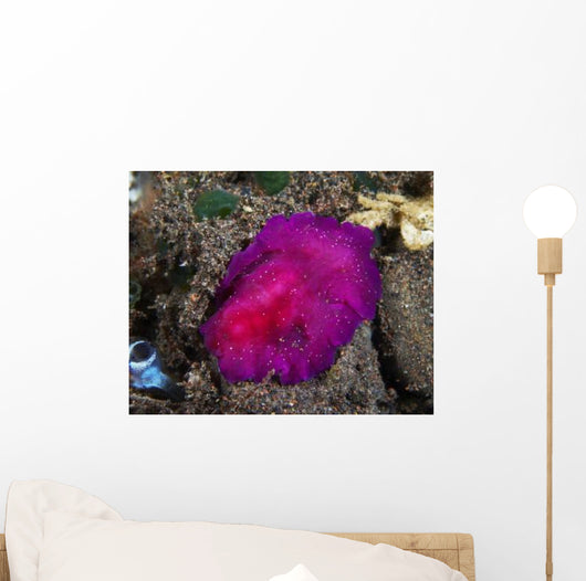 Fuchsia Pink Flatworm with Wall Decal