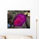 Fuchsia Pink Flatworm with Wall Decal