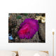 Fuchsia Pink Flatworm with Wall Decal