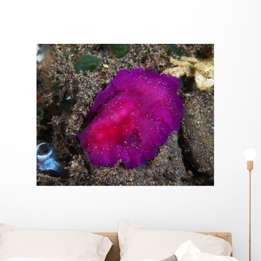 Fuchsia Pink Flatworm with Wall Decal