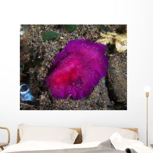 Fuchsia Pink Flatworm with Wall Decal