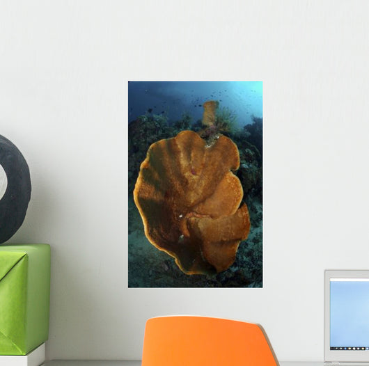 Orange and Brown Sponge Wall Decal