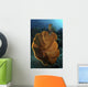 Orange and Brown Sponge Wall Decal