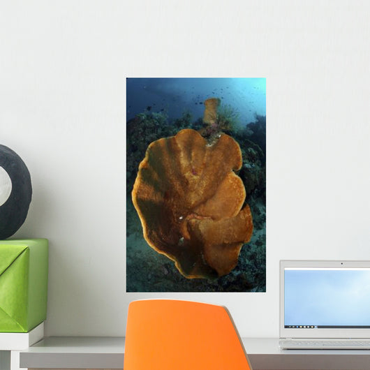 Orange and Brown Sponge Wall Decal