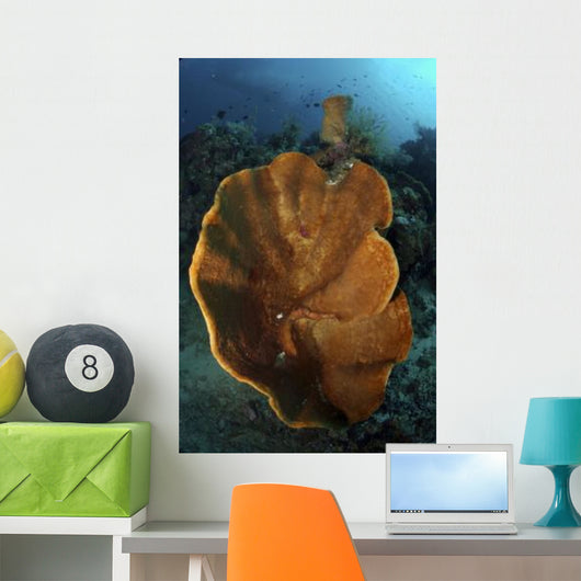 Orange and Brown Sponge Wall Decal