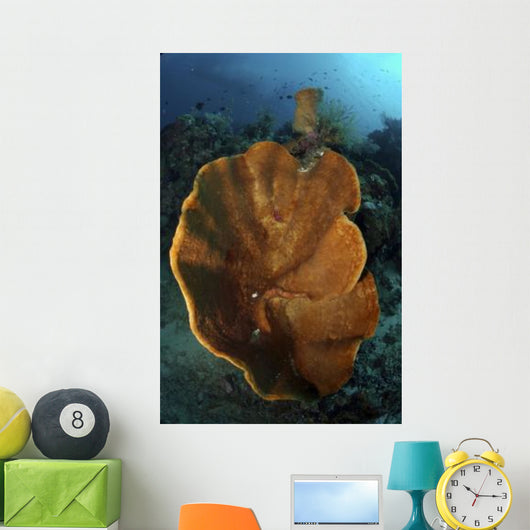 Orange and Brown Sponge Wall Decal