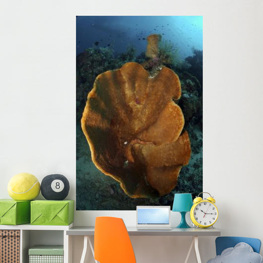 Orange and Brown Sponge Wall Decal