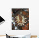 Brown and White Discodoris Wall Decal Design 1
