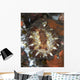 Brown and White Discodoris Wall Decal Design 1
