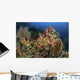Reef Scene with Gorgonian Wall Decal Design 2