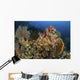 Reef Scene with Gorgonian Wall Decal Design 2
