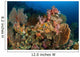 Reef Scene with Gorgonian Wall Decal Design 2