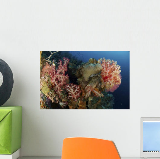 Reef Scene with Gorgonian Wall Decal Design 1
