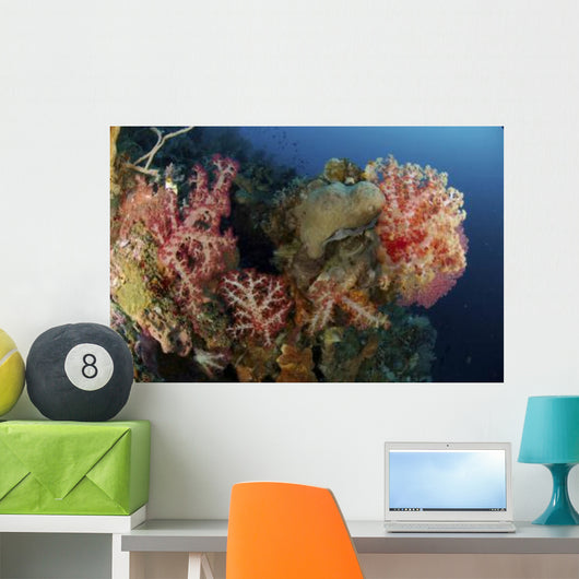 Reef Scene with Gorgonian Wall Decal Design 1