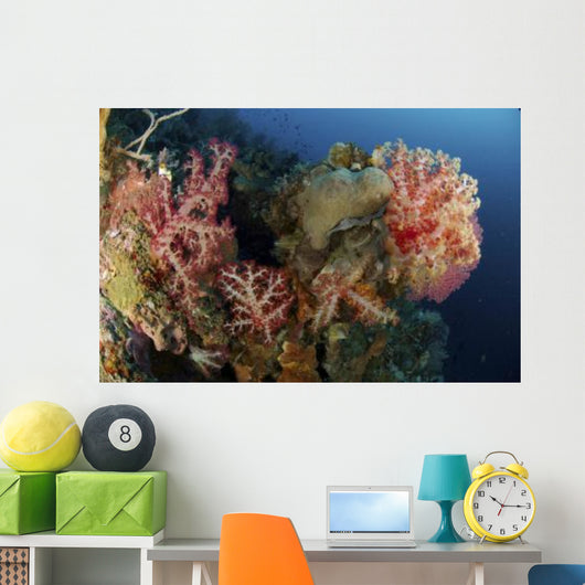 Reef Scene with Gorgonian Wall Decal Design 1