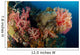 Reef Scene with Gorgonian Wall Decal Design 1