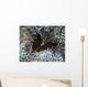 Pair Brown Snapping Shrimps Wall Decal