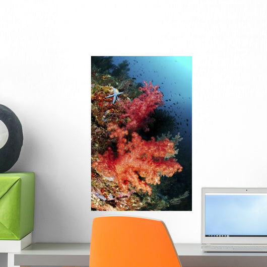 Red Soft Corals and Wall Decal