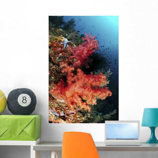 Red Soft Corals and Wall Decal
