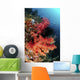Red Soft Corals and Wall Decal