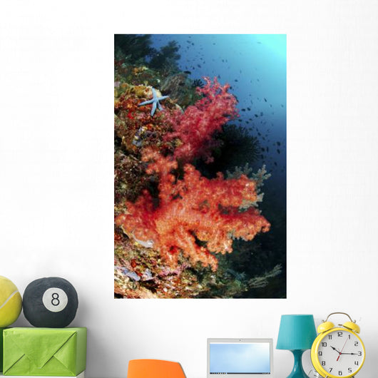 Red Soft Corals and Wall Decal