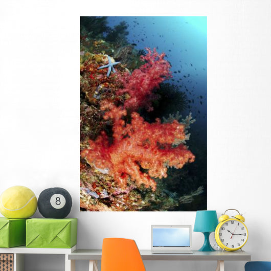 Red Soft Corals and Wall Decal