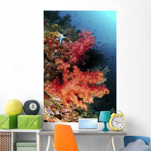 Red Soft Corals and Wall Decal