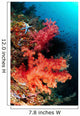Red Soft Corals and Wall Decal