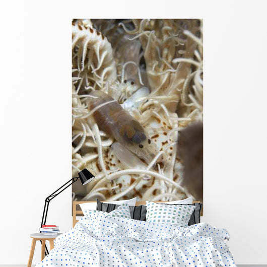Pair Translucent White Snapping Wall Decal