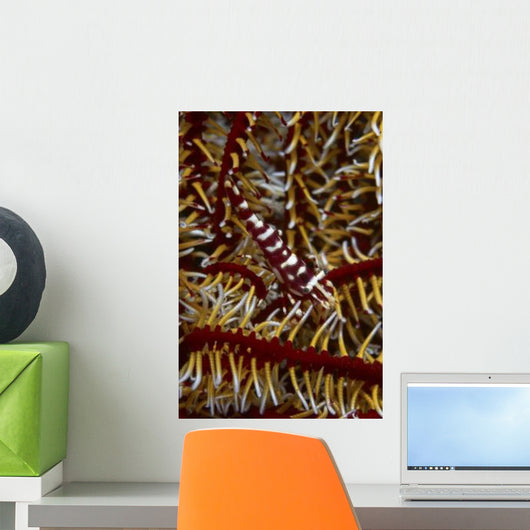 Red and White Mimic Wall Decal