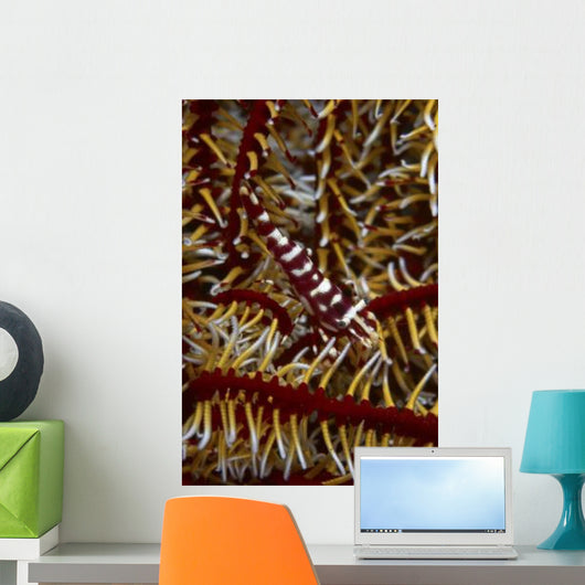 Red and White Mimic Wall Decal