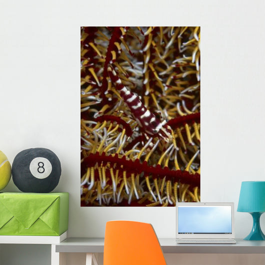 Red and White Mimic Wall Decal